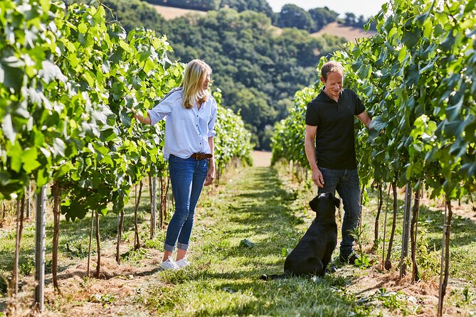 1.5-Hour Swanaford Vineyard Tour And Tasting Experience - Key highlights worth marking on your plan