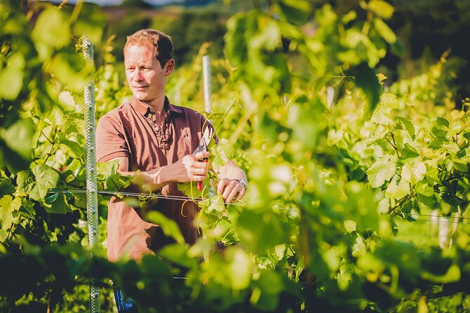 1.5-Hour Swanaford Vineyard Tour And Tasting Experience - Dartmoor wine in 90 minutes: why this tour feels efficient