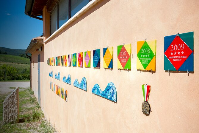 1-Hour Experience with Brunello. Visit to the Vineyard and Cellar - Casato Prime Donne: women-run Brunello country, with art in the vines