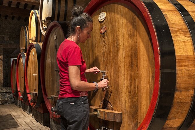 1-Hour Experience with Brunello. Visit to the Vineyard and Cellar - Group Size and the Real-World Feel: intimate, not big-bus wine
