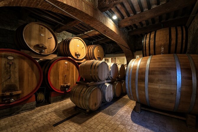 1-Hour Experience with Brunello. Visit to the Vineyard and Cellar - When to Go: winter daylight, pace, and what you might miss