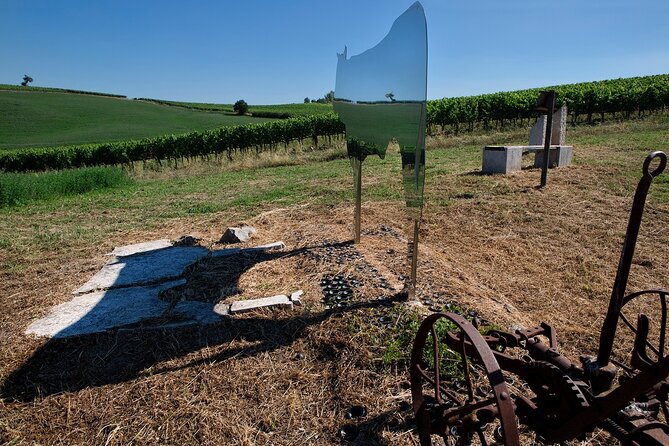1-Hour Experience with Brunello. Visit to the Vineyard and Cellar - What Happens in the 1-Hour Tour (4 pm start) and why it works