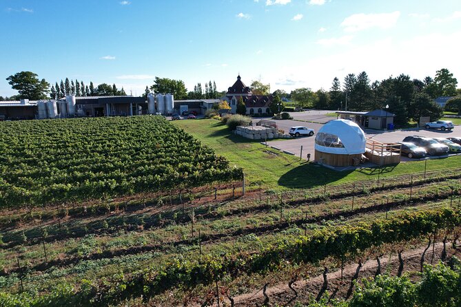 1 Hour Private Vineyard Dome Experience in Niagara-on-the-Lake - What’s on Your Plate: Charcuterie Board and Breads