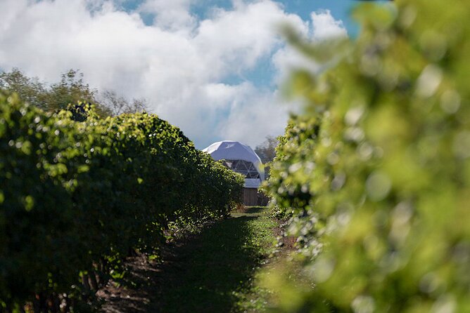 1 Hour Private Vineyard Dome Experience in Niagara-on-the-Lake - Quick Reality Check: What to Expect When You Want to Buy Wine