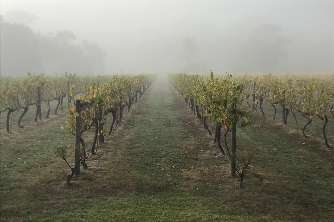 2-Day Yarra Valley Wine Tour with Luxury Vineyard Resort Stay - Day 2: Yering Farm’s rustic vibe, Balgownie again, then Soumah