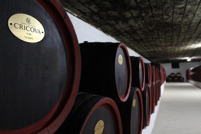 2 Excursions in One Day - Cricova Winery,Tiraspol City and Bender Fortress! - Key points before you go