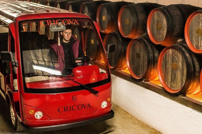 2 Excursions in One Day - Cricova Winery,Tiraspol City and Bender Fortress! - Your driver and guides: Victor, Natalia, Nicolai (and the group size advantage)