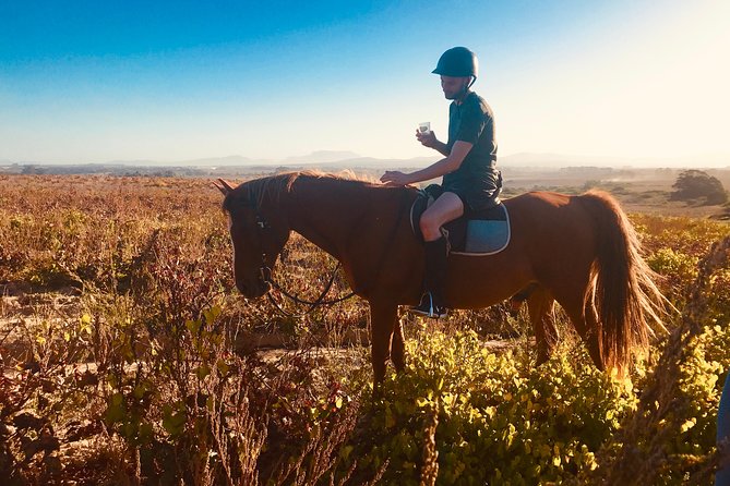 2 Hour Vineyard Trail Ride - What You Actually Get for $113: Included Gear and Optional Add-Ons