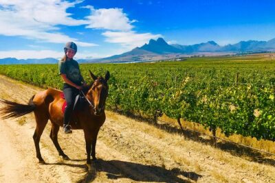 2 Hour Vineyard Trail Ride - Why the Horse Trail Beats Walking Around Stellenbosch