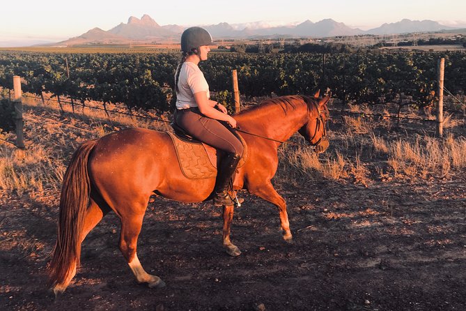2 Hour Vineyard Trail Ride - Practical Tips for Your Best Ride Day