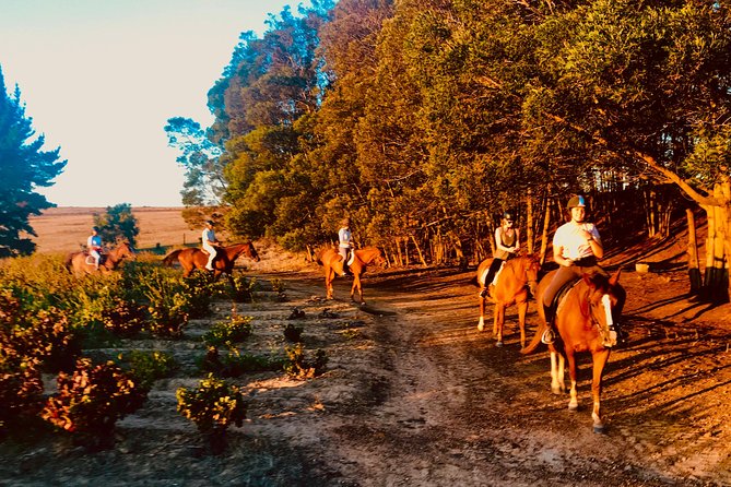 2 Hour Vineyard Trail Ride - FAQ