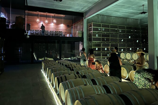3 or 5 Course Menu + Wine Pairing + Tour @Local Winery - Entering Enoturismo Tres Raíces: architecture, views, and a guided feel