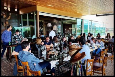 3 or 5 Course Menu + Wine Pairing + Tour @Local Winery - Vineyard walk vs. cellar lesson: how the season affects what you do