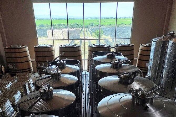 3 or 5 Course Menu + Wine Pairing + Tour @Local Winery - Terruño Restaurant lunch: 3 or 5 courses paired with local wine
