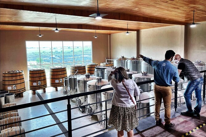 3 or 5 Course Menu + Wine Pairing + Tour @Local Winery - After lunch: chapel, store, hotel, and how to spend your extra time