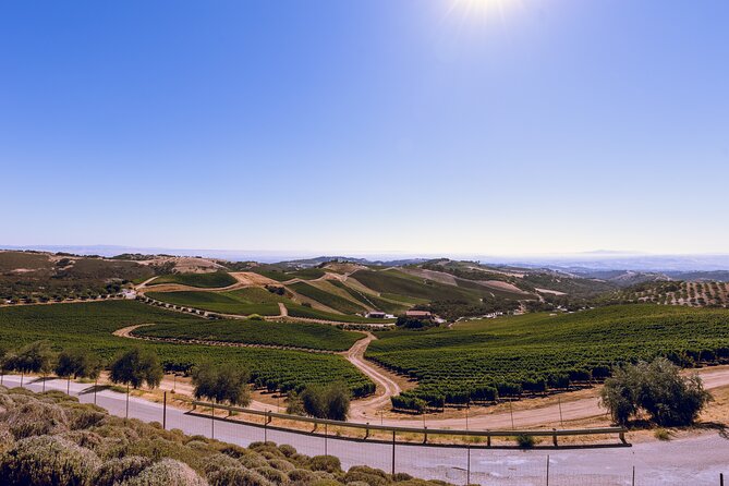 3-Winery Paso Robles Tour with Picnic Lunch from Paso Robles - Price and Value: Why $89 Can Make Sense in Paso Robles