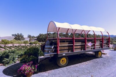 3-Winery Paso Robles Tour with Picnic Lunch from Paso Robles - Stop 1: Your Scenic Start With Picnic Lunch at the First Winery