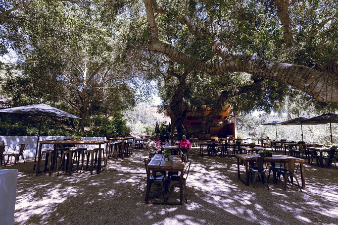 3-Winery Santa Ynez Tour with Picnic Lunch & Tasting Fees - Third winery finale: shopping time, plus help stowing purchases