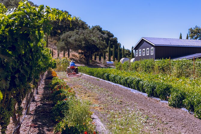 3-Winery Santa Ynez Tour with Picnic Lunch & Tastings from City - Key Points Before You Go