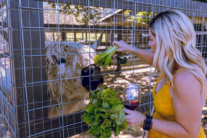 3-Winery Santa Ynez Tour with Picnic Lunch & Tastings from City - Lunch Details: Deli-Style Picnic That Actually Helps