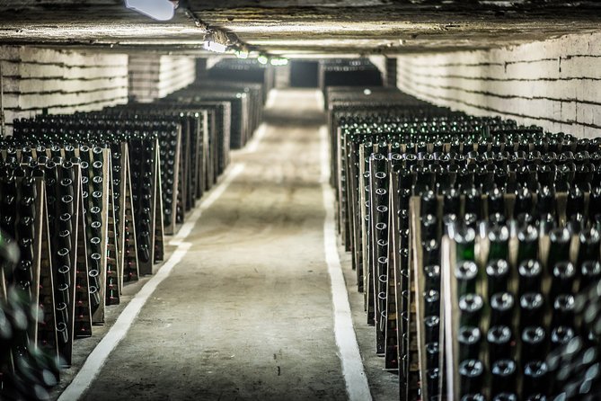 4 Hours Cricova Winery Tour with Tasting - What the cellar tour shows you (and what it doesn’t try to do)