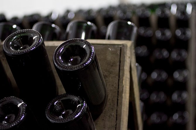 4 Hours Cricova Winery Tour with Tasting - Practical tips that make the day better