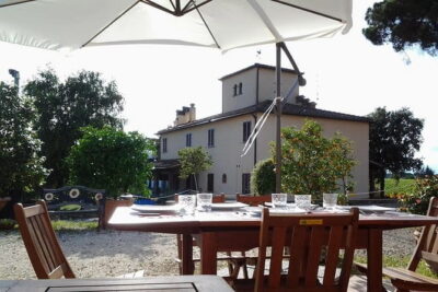 4 Wines & 2 Olive Oils Tasting in Chianti Winery with Tour - The Wine Lineup: IGT Toscana, Chianti Classico, and Riserva