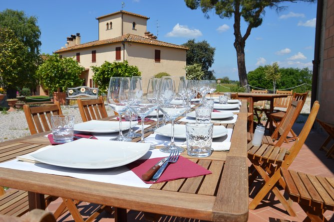 4 Wines Tasting with 2 Tuscan Cheeses & Tour at the winery - The Tasting Room Setup: 4 Wines and 2 Sheep-Milk Pecorino Cheeses