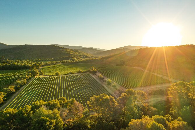 4x4 tour in a winery followed by a tasting - A 1.5-hour Provence wine ride from Bormes-les-Mimosas