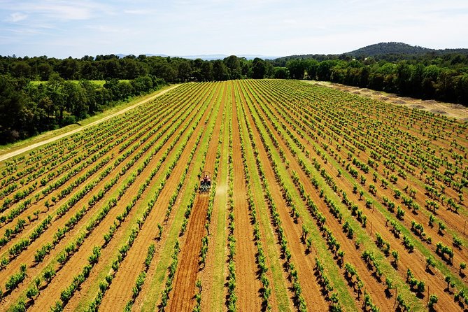 4x4 tour in a winery followed by a tasting - Price and value: what $30 actually buys you here
