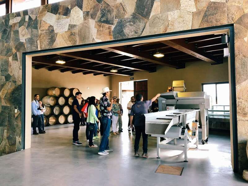 5 wines Tastings with Tour in Valle de Guadalupe Winery - Rondo del Valle in Ensenada: Why this tour feels more like a working winery