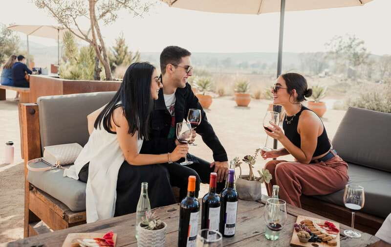 5 wines Tastings with Tour in Valle de Guadalupe Winery - Tour stops inside the winery: cellar, barrels, underground areas, tanks