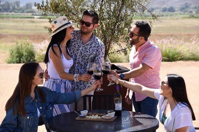 5 wines Tastings with Tour in Valle de Guadalupe Winery - Accessibility and who this tour suits best