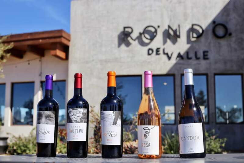 5 wines Tastings with Tour in Valle de Guadalupe Winery - Should you book the 5-wine tasting and winery tour at Rondo del Valle?