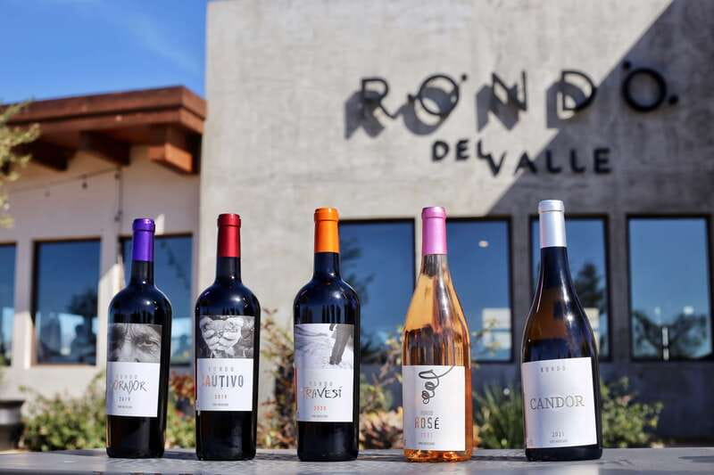 5 wines Tastings with Tour in Valle de Guadalupe Winery - The 1-hour wine tasting: what you’ll drink and how to get the most out of it
