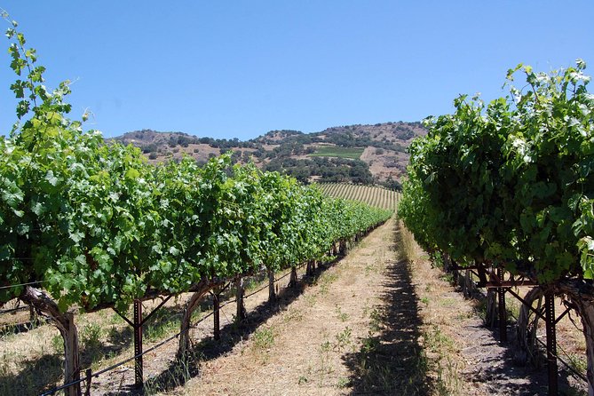 8 Hour Private Tour in Napa Valley Winery - A Private Napa Valley Day That Starts With Less Driving Stress