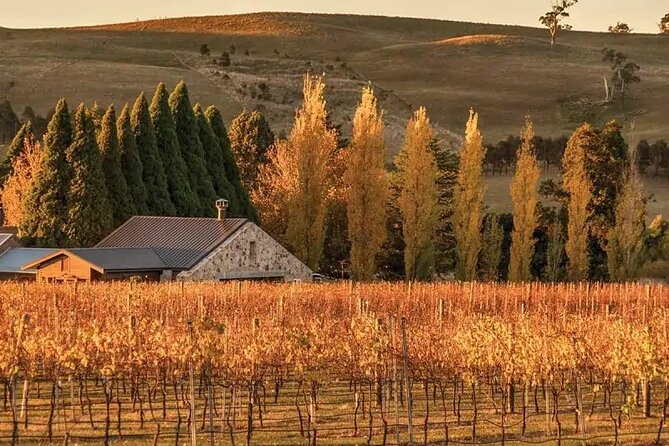 A Day In The Vineyards || Luxury Private Winery Tour From Sydney - Price and value: what $411.52 buys for a 10-hour private wine day