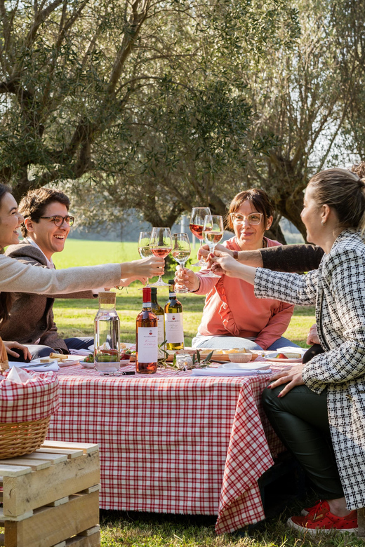 Abruzzo: Country Picnic in an Olive Grove at a Winery - Should you book Cantina Mazzarosa’s olive grove picnic?