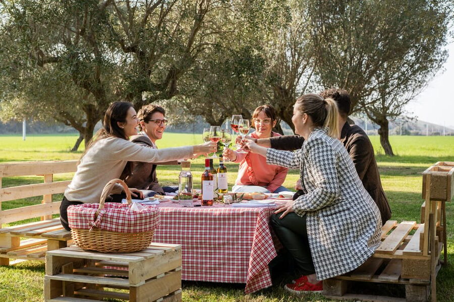 Abruzzo: Country Picnic in an Olive Grove at a Winery - Cantina Mazzarosa Devincenzi: where the experience starts