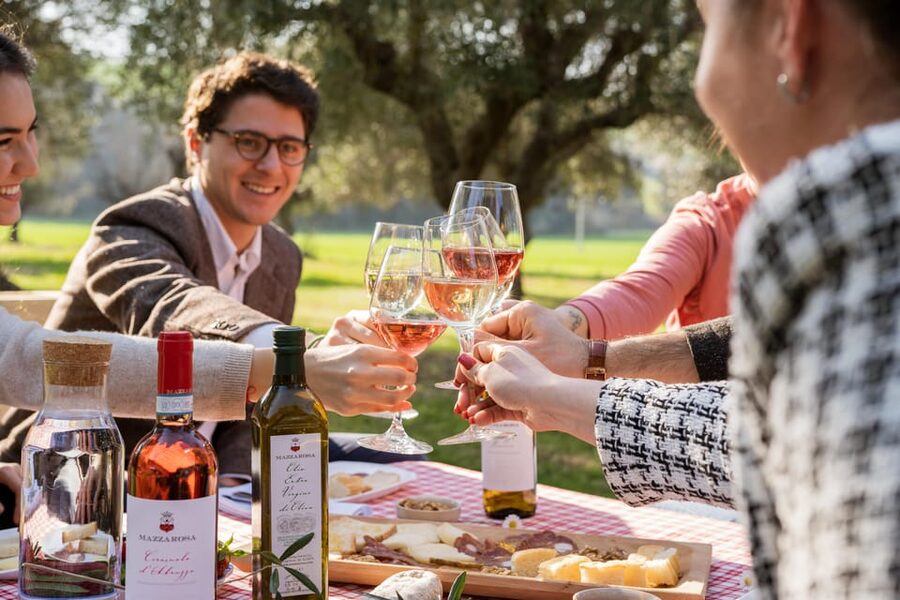Abruzzo: Country Picnic in an Olive Grove at a Winery - Winery tour: the historic cellar experience (and its limits)