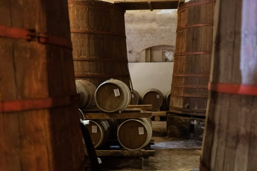 Abruzzo: Country Picnic in an Olive Grove at a Winery - Price and value: what $35 gets you in real terms