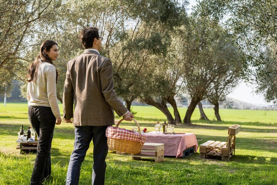 Abruzzo: Country Picnic in an Olive Grove at a Winery - Practical tips to make the most of your time
