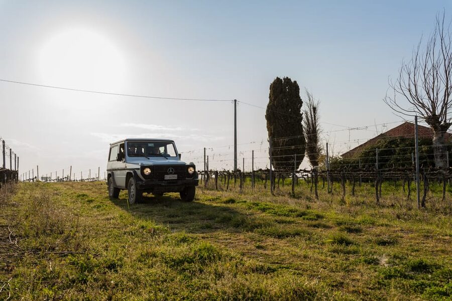 Abruzzo: Vineyard Jeep Tour with Tastings - Key Points You’ll Care About