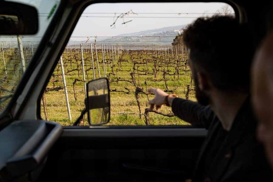 Abruzzo: Vineyard Jeep Tour with Tastings - The 5-Wine Tasting With Bruschetta, Olive Oil, and Regional Nibbles