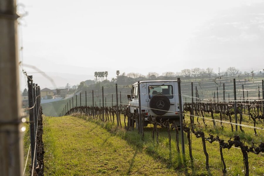 Abruzzo: Vineyard Jeep Tour with Tastings - Vino Cotto and Cantuccini: The Sweet Finale That Makes Sense