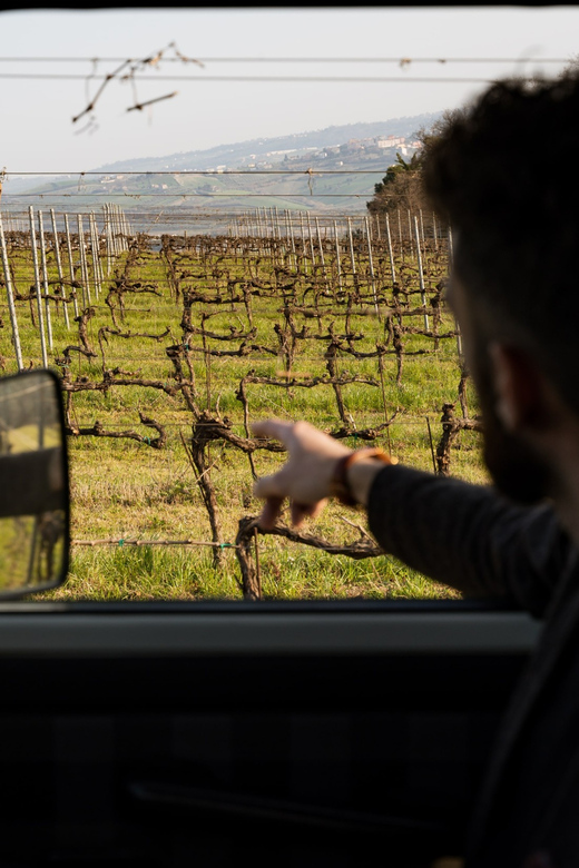 Abruzzo: Vineyard Jeep Tour with Tastings - FAQ