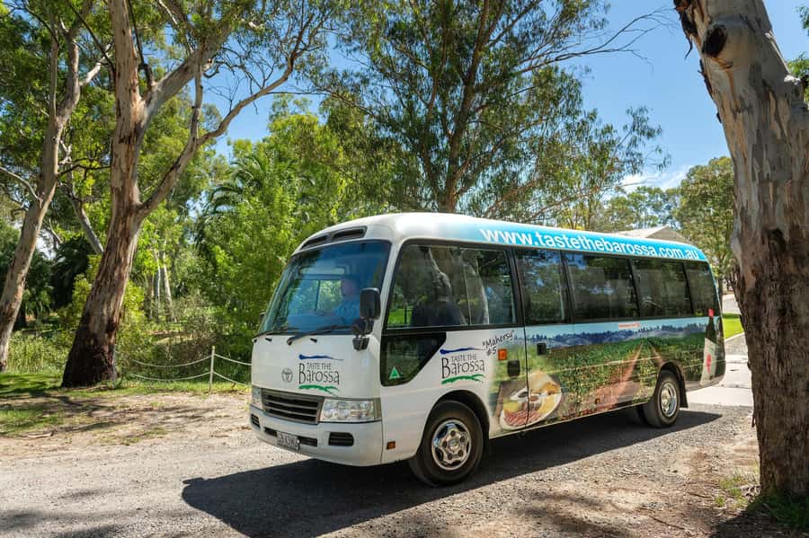 Adelaide: Barossa Premium Wine Tasting tour & Winery Lunch - Tanunda break: use the 30 minutes well
