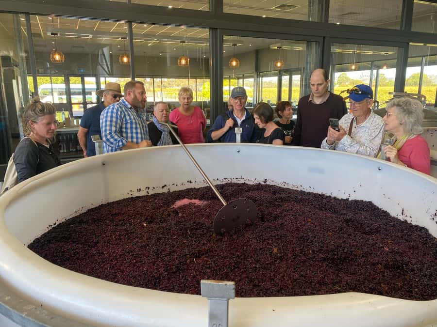 Adelaide: Barossa Premium Wine Tasting tour & Winery Lunch - Mengler Hill lookout and Barossa Sculpture Park for a visual breather