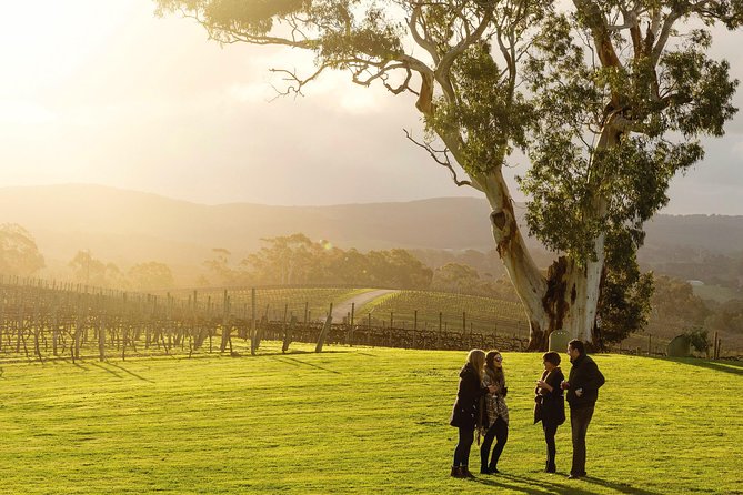 Adelaide Hills & Hahndorf Hop-On Hop-Off Wine Tour - Key Things I’d Highlight Before You Go