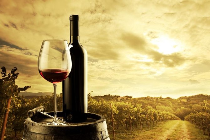 Adelaide Hills & Hahndorf Hop-On Hop-Off Wine Tour - Wine Stops: From Shiraz and Rosé to Cheese and Pairings